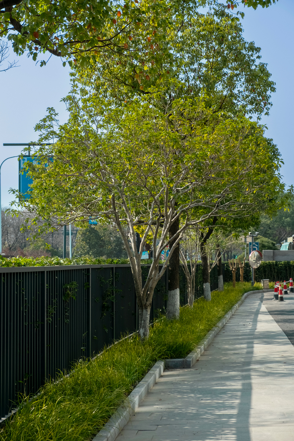 17366608366042719PmF.jpg 绿植围墙.jpg