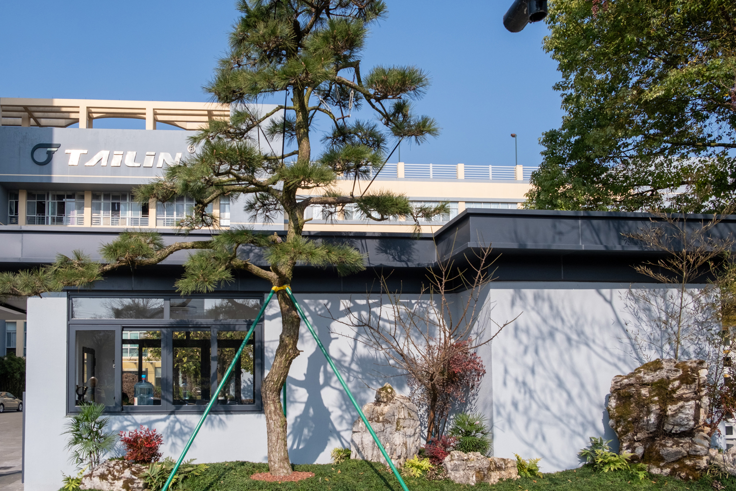 1736660870151619DCXY.jpg 岁寒三友.jpg