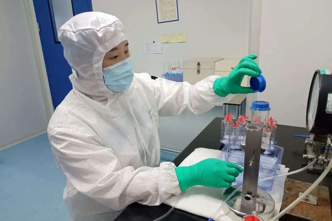 1768901200754522tsjP.jpg 2.jpg